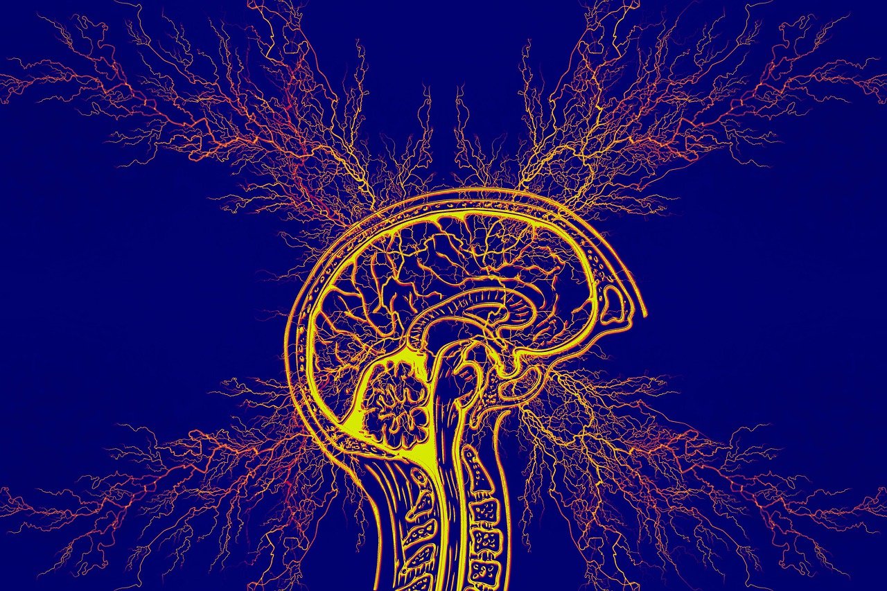 ADHD en Impulsiviteit: Hoe Om Te Gaan met Ongecontroleerde Acties
